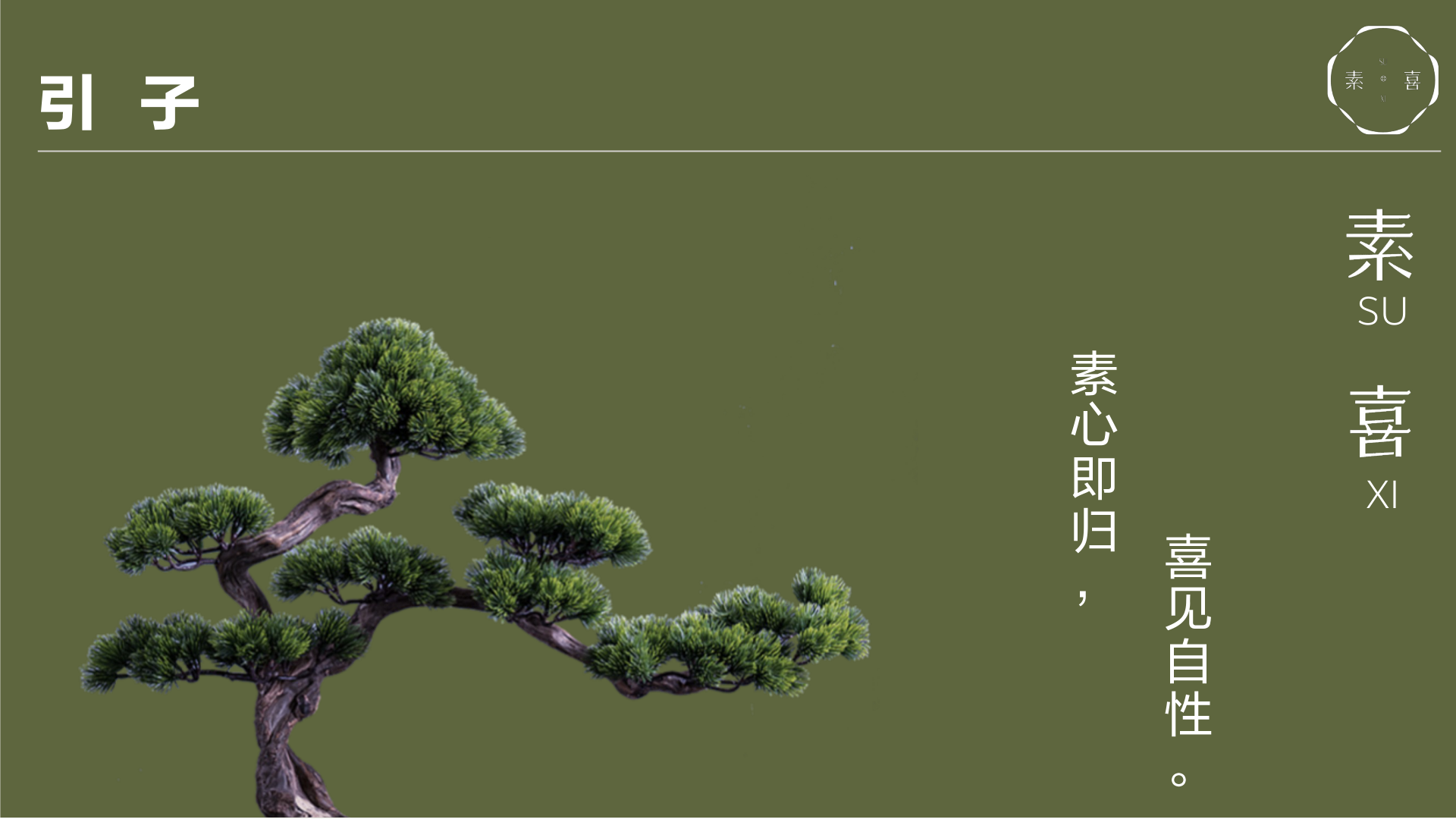 素喜理念：一念归处，用更轻的方式回到自己